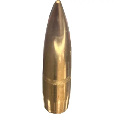Пуля 7,62х54 FMJ 13г томпак НПЗ